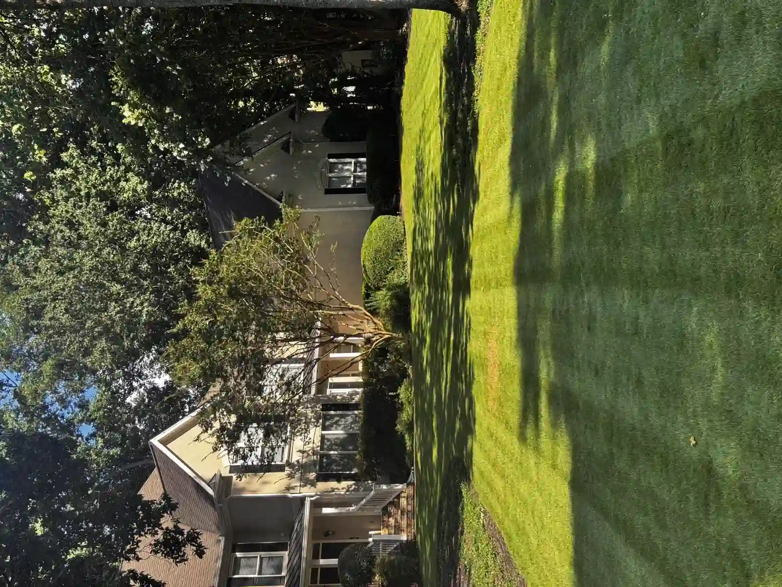Curb appeal refresh at a stucco home with mature trees in Roswell, GA